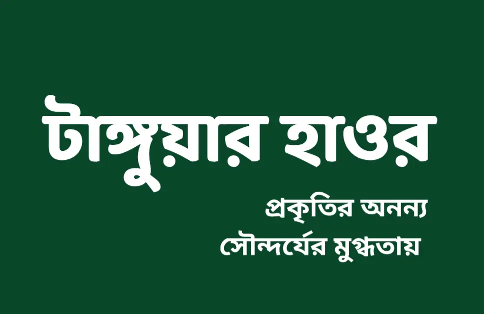 টাঙ্গুয়ার হাওর: জেনে নিন এই দর্শনীয় স্থান সম্পর্কে