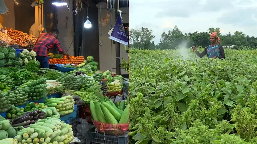 সবজিতে কীটনাশক ও ভারী ধাতু, কতটা নিরাপদ খাবার?