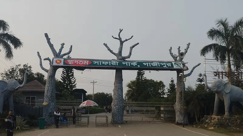 বিশ্ব প্রাণী দিবসে গাজীপুর সাফারি পার্কের ব্যবস্থাপনা নিয়ে প্রশ্ন